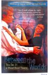 Image of Tutti Arts - 'Between the Worlds' 2008 Promotional Poster