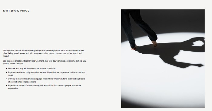 Image of Sprung!! Integrated Dance Theatre - Shift Shape Initiate