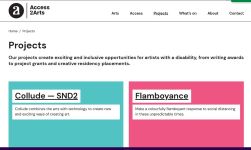 Image of Access2Arts website - Project Archive