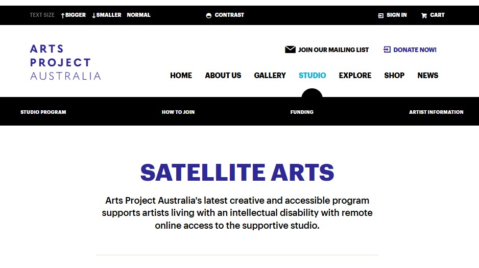 Image of Arts Project Australia - Satellite Arts, website captured 2022