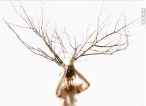 Image of Back to Back Theatre Lady Eats Apple webpage