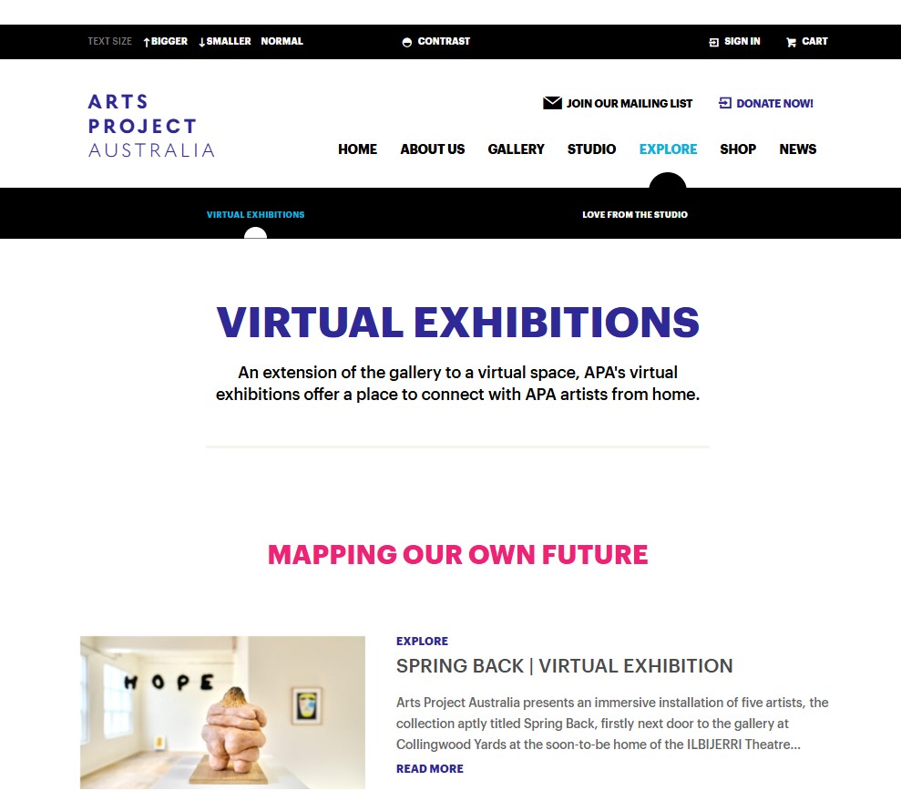 Image of Arts Project Australia - Virtual Exhibitions, captured 2022