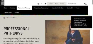 Image of DADAA Professional Pathways website captured 2023
