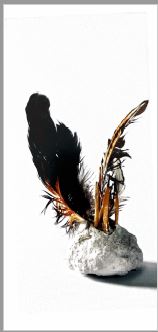 Image of Arts Access Victoria Connecting to Country 2018 Invitation