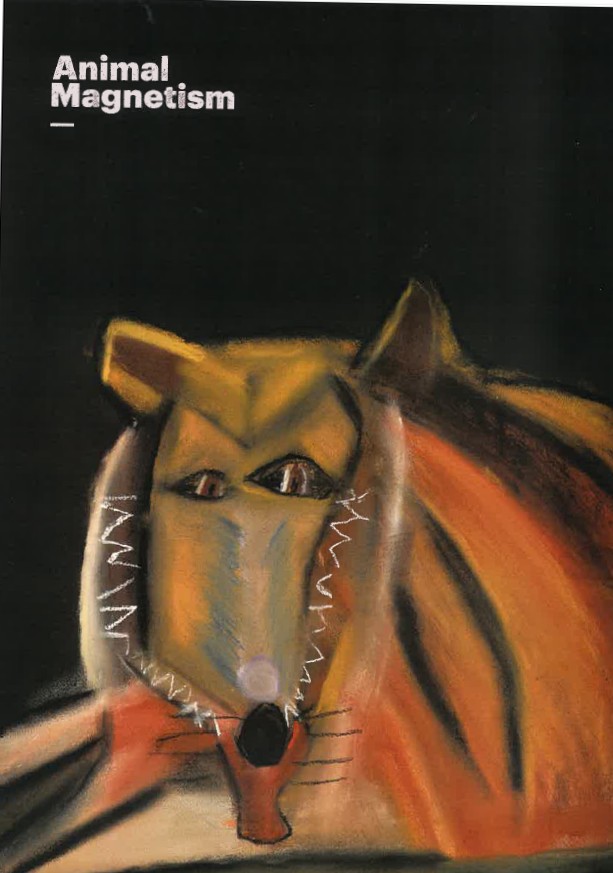 Image of Arts Project Australia - Animal Magnetism Exhibition 2014 - Email Promotional Flyer